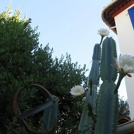 La Malouine Hotel Niza