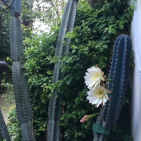 מלון La Malouine ניס