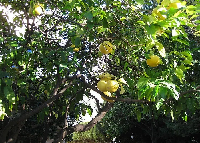 La Malouine Hotel Nice