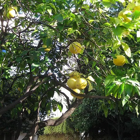 La Malouine Hotel Nice